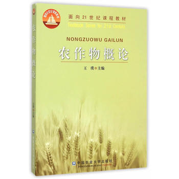 �r�����Փ