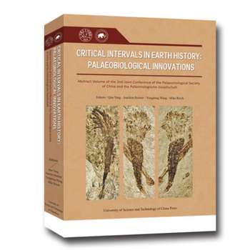  ����vʷ���P(gu��n)�I�r���c���������