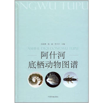  ��ʲ�ӵח���(d��ng)��D�V