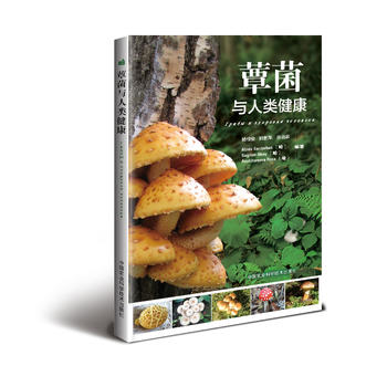  ަ���c�����