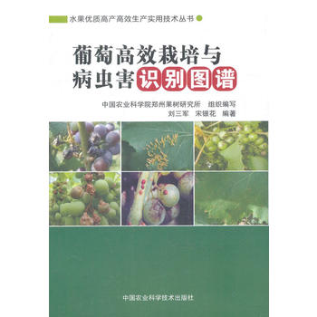  ���Ѹ�Ч�����c���x���R�e�D�V