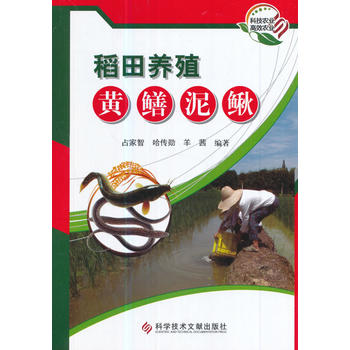  �����B(y��ng)ֳ�S�X���q