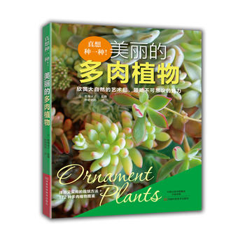  ����Nһ�N�������Ķ���ֲ��