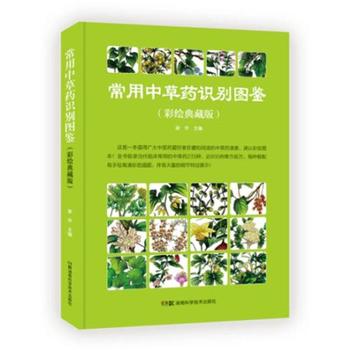  �����в�ˎ�R(sh��)�e�D�b�����L��ذ棩