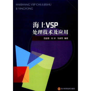  ����VSP̎�����g(sh��)����(y��ng)��