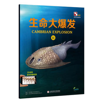  �������3D��������AR�������С�ٿƣ��w��˹���򡪡������󱬰l(f��)��