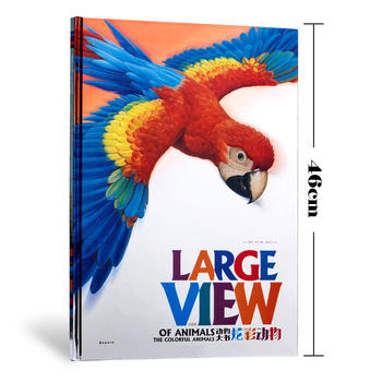  ���������Ųʄ�������棩