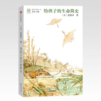  �o���ӵ�������(ji��n)ʷ���o����ϵ��10��