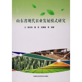  ɽ�|ʡ�F(xi��n)���r(n��ng)�I(y��)�l(f��)չģʽ�о�