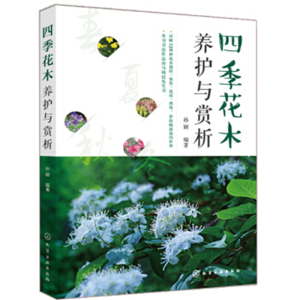 �ļ���ľ�B(y��ng)�o(h��)�c�p��