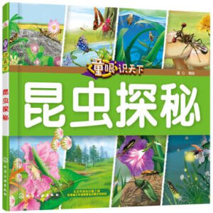 ͯ���R���¡������x̽��