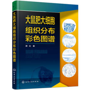 ����ʴ󼚰��M���ֲ���ɫ�D�V