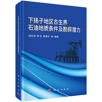 ��?li��n)P�ӵ؅^(q��)������ʯ�͵��|(zh��)�l������̽����