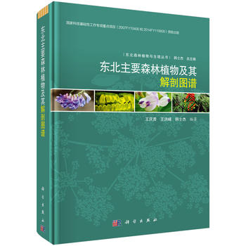 �|����Ҫɭ��ֲ�Ｐ����ʈD�V