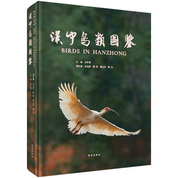 �h���BD�b