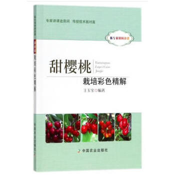 ����������ɫ����