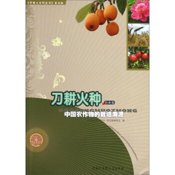 �Ї���ٿ�ȫ���ռ��桤������N���Ї��r(n��ng)�����������Դ