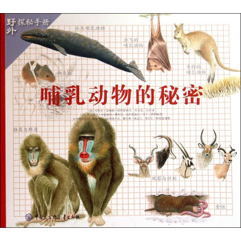 ������������/Ұ��̽���փ�