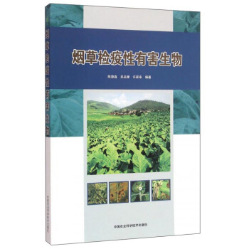 ���ݙz�����к�����