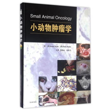 С��(d��ng)���[���W(xu��)