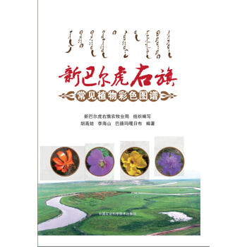 �°͠������쳣Ҋֲ���ɫ�D�V