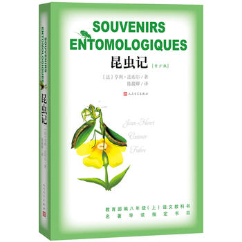 ���xӛ �����ٰ棩