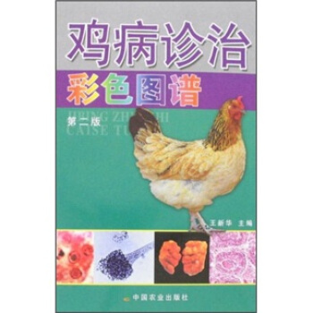 �u���\�β�ɫ�D�V����2�棩