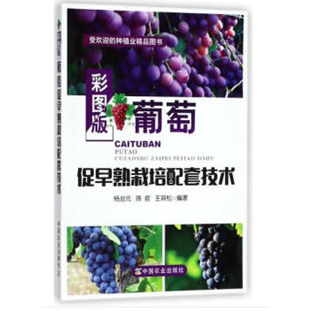 �ʈD�����Ѵ������������׼��g(sh��)