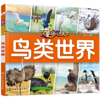 ͯ���R(sh��)���¡����B�����