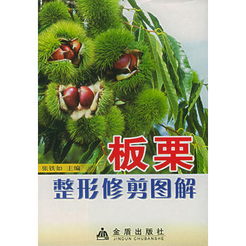 ���������޼�D��