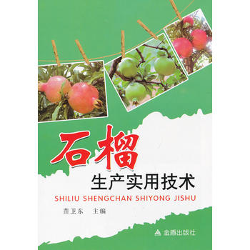 ʯ�����a(ch��n)��(sh��)�ü��g(sh��)