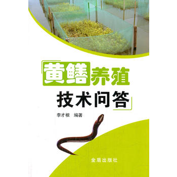 �S�X�B(y��ng)ֳ���g����