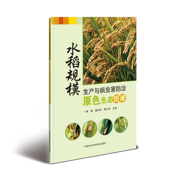 ˮ��Ҏ(gu��)ģ���a(ch��n)�c���x(ch��ng)������ԭɫ���B(t��i)�D�V