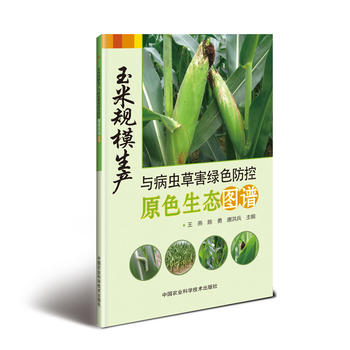 ����Ҏ(gu��)ģ���a�c���x�ݺ��Gɫ����ԭɫ���B(t��i)�D�V