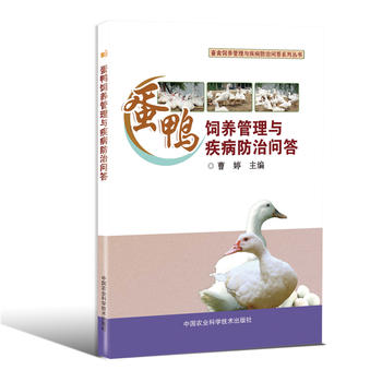 ������B(y��ng)�����c�������Ά�(w��n)��