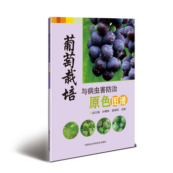 ���������c���x������ԭɫ�D�V