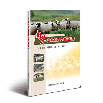 �����Ч������(sh��)���¼��g(sh��)