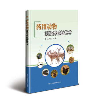 ˎ�Ä����Ч�B(y��ng)ֳ�¼��g(sh��)