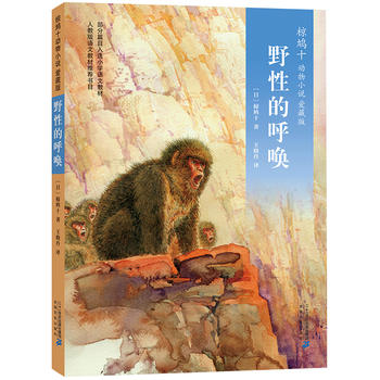 ��Fʮ����С�f �۲ر�08 Ұ�Եĺ�