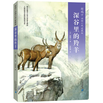 ��Fʮ��(d��ng)��С�f(shu��) ��(��i)�ر�05 ����������