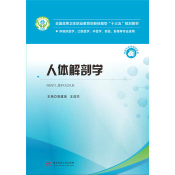 ���w���ʌW���