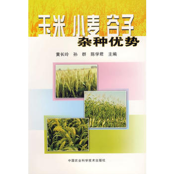 ���ס�С���������s�N��(y��u)��