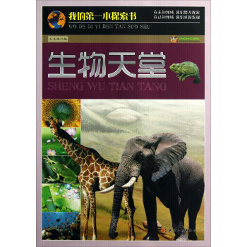 �ҵĵ�һ��̽��������������