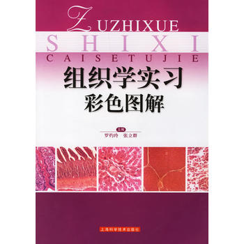 �M���W(xu��)��(sh��)��(x��)��ɫ�D��