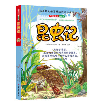 �������x�����xӛ��4��