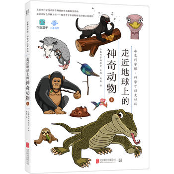 С��ƌW(xu��)�nϵ�У��߽������ϵ������(d��ng)��ϣ�