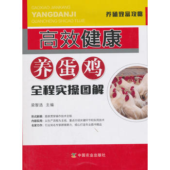 ��Ч�����B(y��ng)���uȫ�̌�(sh��)�وD��