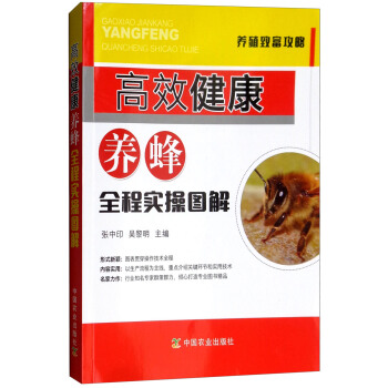 ��Ч�����B(y��ng)��ȫ�̌�(sh��)�وD��