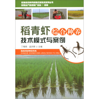 �����r�C�ϷN�B(y��ng)���g(sh��)ģʽ�c����