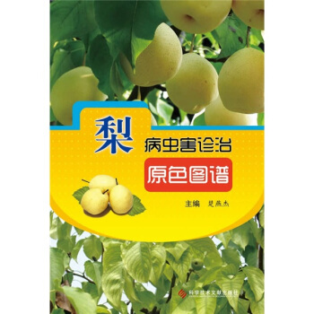 �没�x���\��ԭɫ�D�V